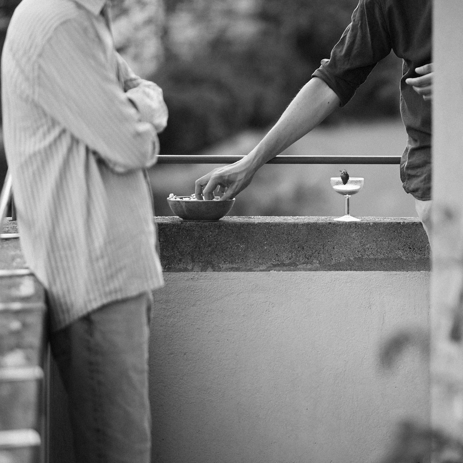 a supper club by Alma Berga